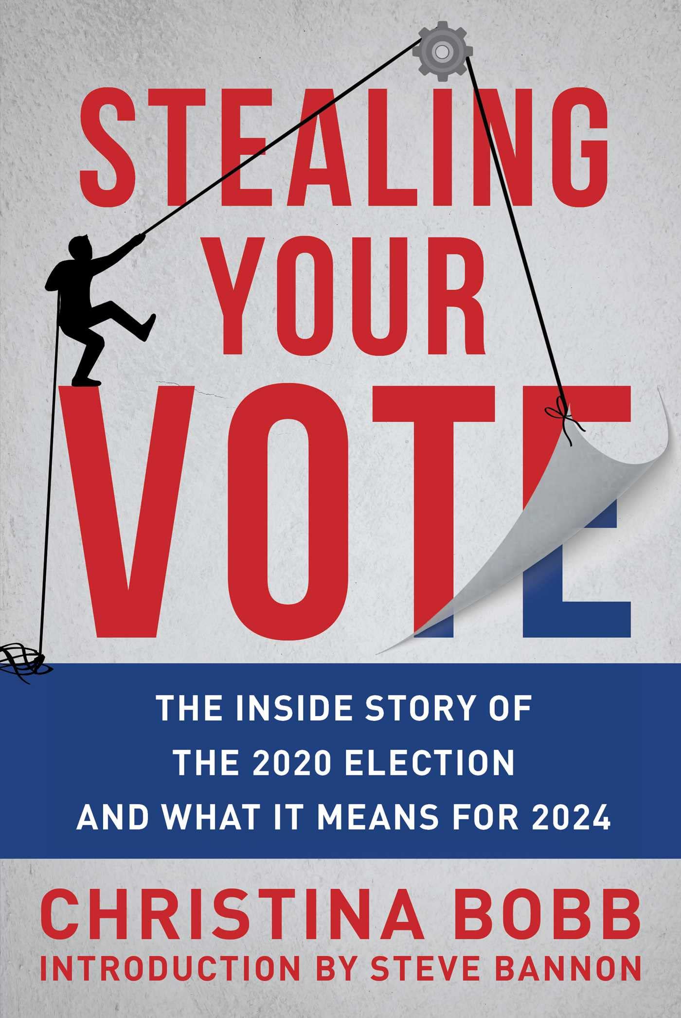 BOOK REVIEW: Stealing Your Vote By Christina Bobb